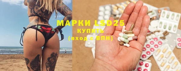 PSILOCYBIN Гусиноозёрск